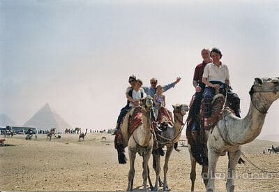 adipisci magnam tempore — كثافة #31 — صورة 5