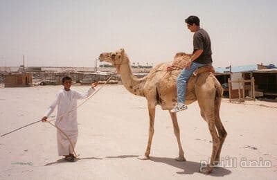 suscipit harum mollitia — كثافة #13 — صورة 4