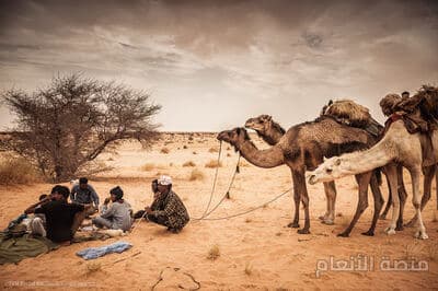 suscipit harum mollitia — كثافة #13 — صورة 5