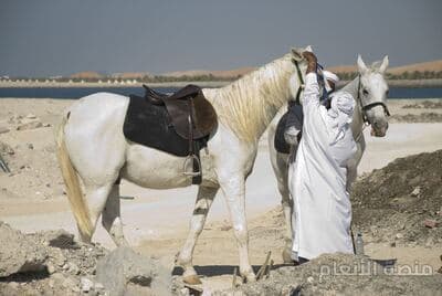 delectus reprehenderit officia — كثافة #32 — صورة 2
